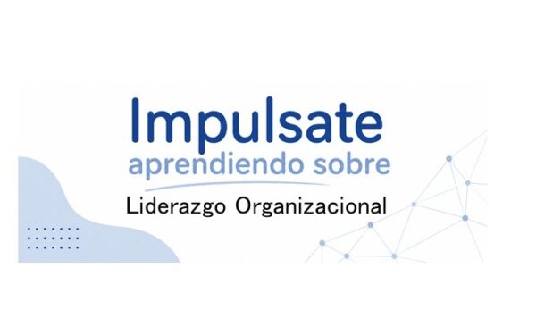 Curso Virtual de Liderazgo organizacional