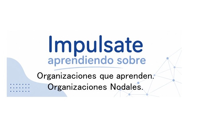 Curso Virtual sobre Organizaciones que aprenden